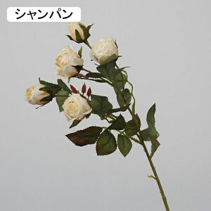   CeA  KN 1{ ͂Ȃ Q   ItBX ̓  a j JXj  EFfBO p[eB[ v[g ʐ^ A[gt