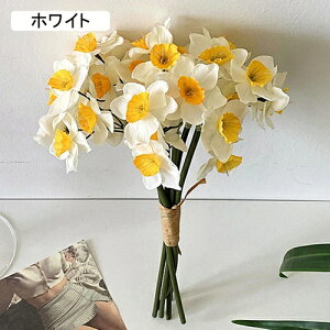   CeA  ̉ 1 ͂Ȃ Q   ItBX ̓  a j JXj  EFfBO p[eB[ v[g ʐ^ A[gt