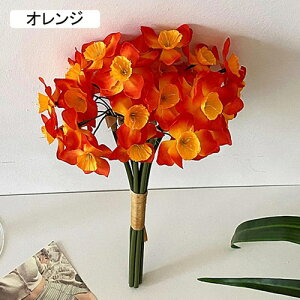   CeA  ̉ 1 ͂Ȃ Q   ItBX ̓  a j JXj  EFfBO p[eB[ v[g ʐ^ A[gt