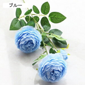   CeA  O 1{ ͂Ȃ Q   ItBX ̓  a j JXj  EFfBO p[eB[ v[g ʐ^ A[gt