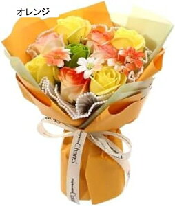 \[vt[ ԑ    zCgf[MtgԎ ͂Ȃ\[vt[ ԑ av[g ̓ ̓ hV̓ LO