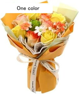 \[vt[ ԑ    zCgf[MtgԎ ͂Ȃ\[vt[ ԑ av[g ̓ ̓ hV̓ LO