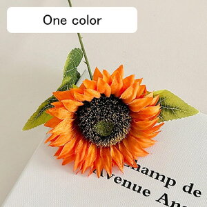   CeA  Ђ܂ 1{ ͂Ȃ Q   ItBX ̓  a j JXj  EFfBO p[eB[ v[g ʐ^ A[gt