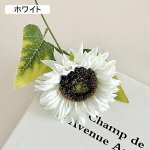   CeA  Ђ܂ 1{ ͂Ȃ Q   ItBX ̓  a j JXj  EFfBO p[eB[ v[g ʐ^ A[gt