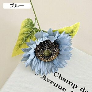   CeA  Ђ܂ 1{ ͂Ȃ Q   ItBX ̓  a j JXj  EFfBO p[eB[ v[g ʐ^ A[gt