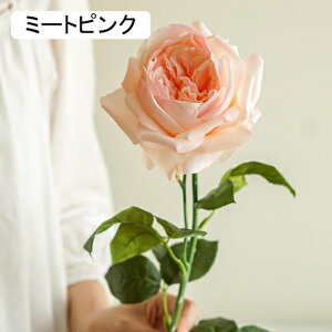   CeA  o 1{ ͂Ȃ Q   ItBX ̓  a j JXj  EFfBO p[eB[ v[g ʐ^ A[gt