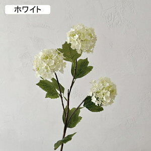   CeA  AWTC 1{ ͂Ȃ Q   ItBX ̓  a j JXj  EFfBO p[eB[ v[g ʐ^ A[gt