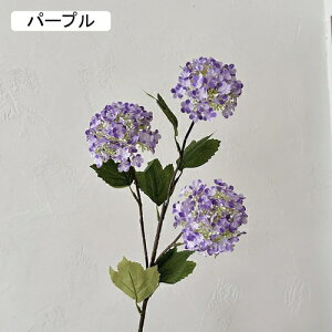   CeA  AWTC 1{ ͂Ȃ Q   ItBX ̓  a j JXj  EFfBO p[eB[ v[g ʐ^ A[gt