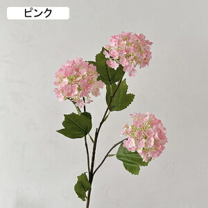   CeA  AWTC 1{ ͂Ȃ Q   ItBX ̓  a j JXj  EFfBO p[eB[ v[g ʐ^ A[gt