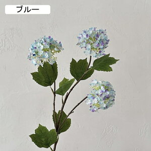   CeA  AWTC 1{ ͂Ȃ Q   ItBX ̓  a j JXj  EFfBO p[eB[ v[g ʐ^ A[gt