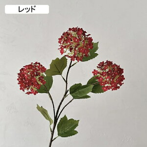   CeA  AWTC 1{ ͂Ȃ Q   ItBX ̓  a j JXj  EFfBO p[eB[ v[g ʐ^ A[gt