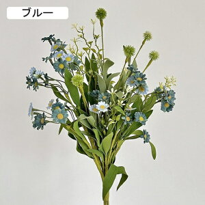   CeA  fCW[ 1 ͂Ȃ Q   ItBX ̓  a j JXj  EFfBO p[eB[ v[g ʐ^ A[gt