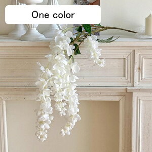   CeA  ̉ 1{ ͂Ȃ Q   ItBX ̓  a j JXj  EFfBO p[eB[ v[g ʐ^ A[gt