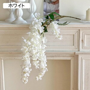   CeA  ̉ 1{ ͂Ȃ Q   ItBX ̓  a j JXj  EFfBO p[eB[ v[g ʐ^ A[gt