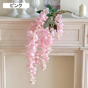   CeA  ̉ 1{ ͂Ȃ Q   ItBX ̓  a j JXj  EFfBO p[eB[ v[g ʐ^ A[gt