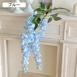   CeA  ̉ 1{ ͂Ȃ Q   ItBX ̓  a j JXj  EFfBO p[eB[ v[g ʐ^ A[gt