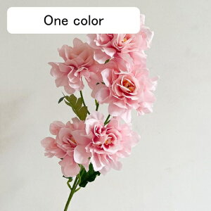   CeA  VNN 1{ ͂Ȃ Q   ItBX ̓  a j JXj  EFfBO p[eB[ v[g ʐ^ A[g