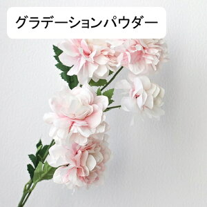   CeA  VNN 1{ ͂Ȃ Q   ItBX ̓  a j JXj  EFfBO p[eB[ v[g ʐ^ A[g