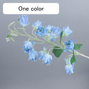   CeA  ̉ 1{ ͂Ȃ Q   ItBX ̓  a j JXj  EFfBO p[eB[ v[g ʐ^ A[gt