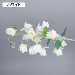   CeA  ̉ 1{ ͂Ȃ Q   ItBX ̓  a j JXj  EFfBO p[eB[ v[g ʐ^ A[gt