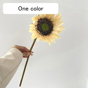   CeA  Ђ܂ 1{ ͂Ȃ Q   ItBX ̓  a j JXj  EFfBO p[eB[ v[g ʐ^ A[gt