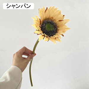   CeA  Ђ܂ 1{ ͂Ȃ Q   ItBX ̓  a j JXj  EFfBO p[eB[ v[g ʐ^ A[gt