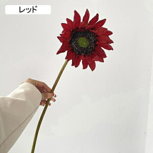   CeA  Ђ܂ 1{ ͂Ȃ Q   ItBX ̓  a j JXj  EFfBO p[eB[ v[g ʐ^ A[gt