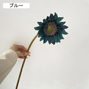   CeA  Ђ܂ 1{ ͂Ȃ Q   ItBX ̓  a j JXj  EFfBO p[eB[ v[g ʐ^ A[gt