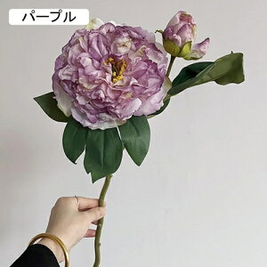   CeA  O 2{ ͂Ȃ Q   ItBX ̓  a j JXj  EFfBO p[eB[ v[g ʐ^ A[gt