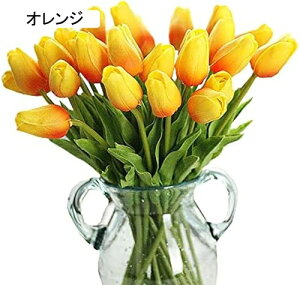  `[bv ͂Ȃ 10{Zbg A[gt[ ԑ  ϏܐA CeA tFCNt[ lHA  蕨 v[g ̓ a LO Ǝ j Mtg