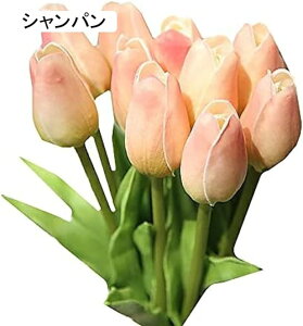  `[bv ͂Ȃ 10{Zbg A[gt[ ԑ  ϏܐA CeA tFCNt[ lHA  蕨 v[g ̓ a LO Ǝ j Mtg