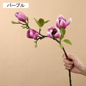   CeA  ̉ 1{ ͂Ȃ Q   ItBX ̓  a j JXj  EFfBO p[eB[ v[g ʐ^ A[gt