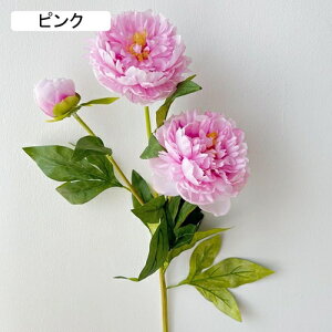 ���� ���� �C���e���A ������� �ڂ��� 1�{ �͂�Ȃ��� �Q�� ���� ���� �I�t�B�X ��̓� ������ �a���� ���j�� �J�X�j�� �������� �E�F�f�B���O �p�[�e�B�[ �v���[���g �ʐ^������ �A�[�g�t��