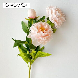   CeA  ڂ 1{ ͂Ȃ Q   ItBX ̓  a j JXj  EFfBO p[eB[ v[g ʐ^ A[gt