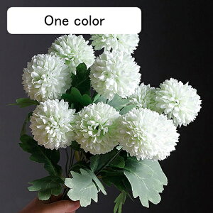  CeA s|e 5{ ΐF ͂Ȃ A[gt[ ̓v[g Mtg 킢 j   X iX  p[eB[ a ԑ 蕨̉ lHϗtA