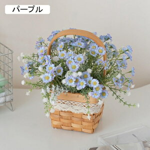  CeA  fCW[ nhoXPbgt tFCNt[ lH ԑu Y k  Vzj ]j a v[g sNjbN Lv Be z[ X