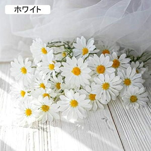  CeA J~[ fCW[ ͂Ȃ A[gt[ ̓v[g Mtg 킢 j   X p[eB[ ԑ iX lHϗtA a  蕨