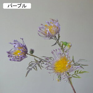   CeA  ẻ 1{ ͂Ȃ Q   ItBX ̓  a j JXj  EFfBO p[eB[ v[g ʐ^ A[gt