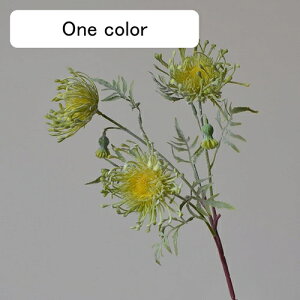   CeA  ẻ 1{ ͂Ȃ Q   ItBX ̓  a j JXj  EFfBO p[eB[ v[g ʐ^ A[gt