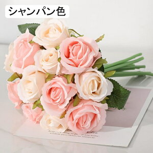  CeA F [Y o KN ͂Ȃ A[gt[ ̓v[g Mtg 킢 j   X iX  p[eB[ a ԑ 蕨̉ lHϗt