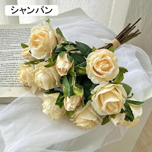   ԑ CeA  KN 1 ͂Ȃ Q   ItBX ̓  a j JXj  EFfBO p[eB[ v[g ʐ^ A[g