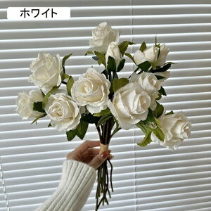   ԑ CeA  KN 1 ͂Ȃ Q   ItBX ̓  a j JXj  EFfBO p[eB[ v[g ʐ^ A[g