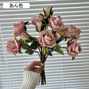   ԑ CeA  KN 1 ͂Ȃ Q   ItBX ̓  a j JXj  EFfBO p[eB[ v[g ʐ^ A[g