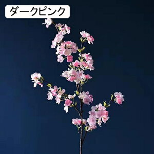   CeA   1{ ͂Ȃ Q   ItBX ̓  a j JXj  EFfBO p[eB[ v[g ʐ^ A[gt[