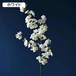   CeA   1{ ͂Ȃ Q   ItBX ̓  a j JXj  EFfBO p[eB[ v[g ʐ^ A[gt[