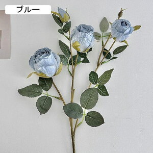   CeA  KN 1{ ͂Ȃ Q   ItBX ̓  a j JXj  EFfBO p[eB[ v[g ʐ^ A[gt