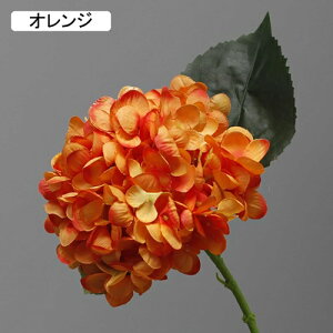   CeA  AWTC 1{ ͂Ȃ Q   ItBX ̓  a j JXj  EFfBO p[eB[ v[g ʐ^ A[gt