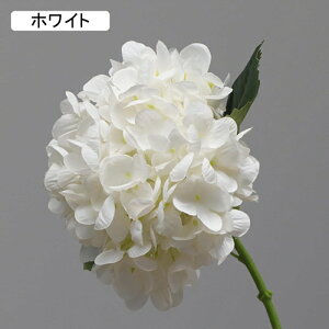   CeA  AWTC 1{ ͂Ȃ Q   ItBX ̓  a j JXj  EFfBO p[eB[ v[g ʐ^ A[gt