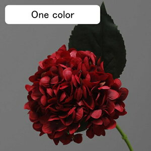   CeA  AWTC 1{ ͂Ȃ Q   ItBX ̓  a j JXj  EFfBO p[eB[ v[g ʐ^ A[gt