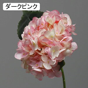   CeA  AWTC 1{ ͂Ȃ Q   ItBX ̓  a j JXj  EFfBO p[eB[ v[g ʐ^ A[gt